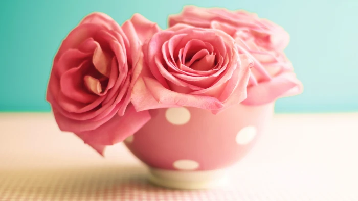 four pink rose with and white polka dot vase centerpiece close up photography 2k 4k 5k