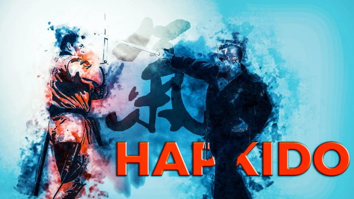 hapkido korean martial arts 2k
