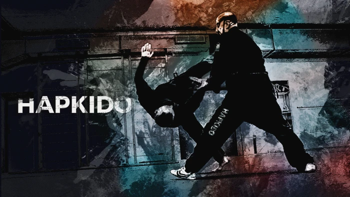 hapkido martial arts korean 2k