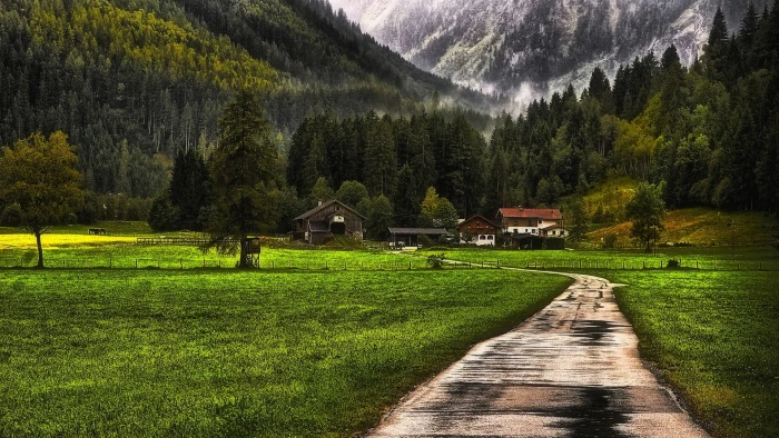 green grass field nature landscape mountains forest farm 2k