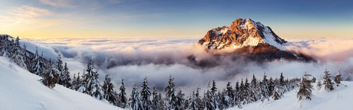 mountain covered white snow landscape mountains mist pine trees 2k 4k