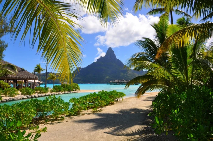 palm trees Bora resort beach tropical French Polynesia 2k