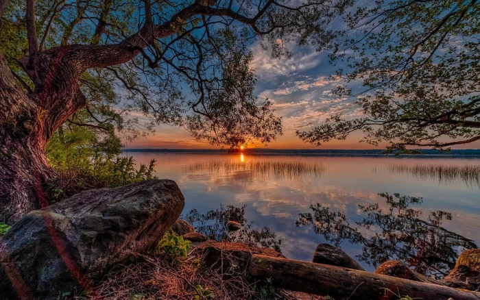 hd high resolution nature 2k