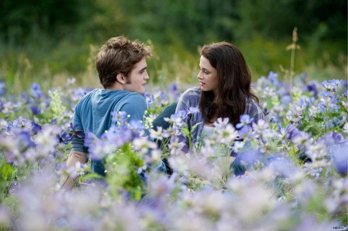 Kristen Stewart and Robert Pattinson field flowers Eclipse 2k