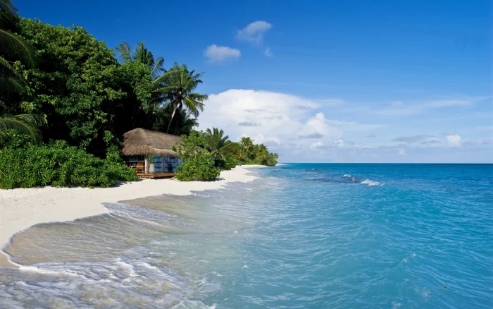 Maldives tropical sea beach palm trees hut 2k