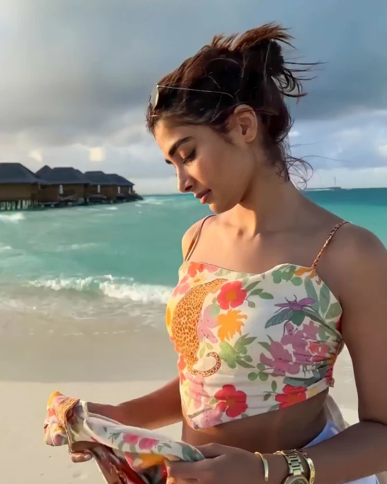 Pooja Hegde pooja hedge indian celebrity actress