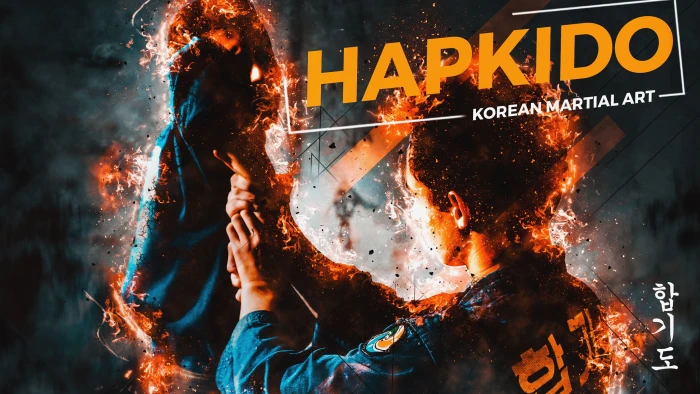 korean martial arts hapkido HAPKIDO CKA 2k