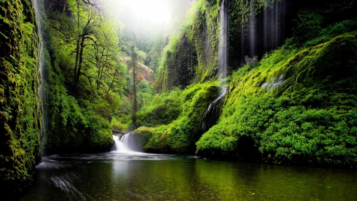 Spring Landscape Waterfall In Oregon Usa Nature River Water Trees Foliage Desktop Wallpaper Download Free 2k
