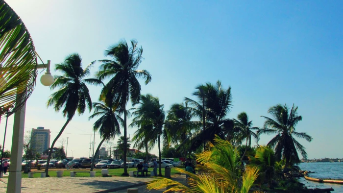 beach city park lake maracaibo palm tree sunny day 2k 4k