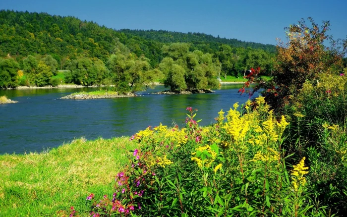 nature high resolution 2k