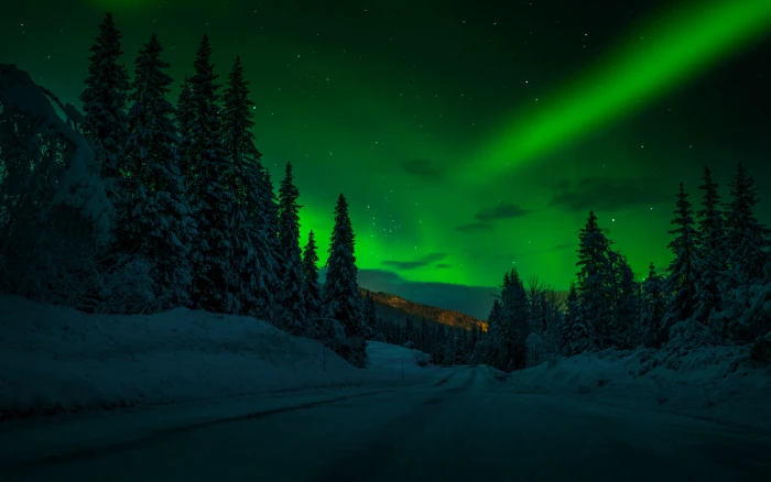 Norway Night Winter Snow Road Trees Stars Sky Polar Lights Landscape Photography Desktop Wallpaper Hd For Mobile Phones And Laptops 2k 4k