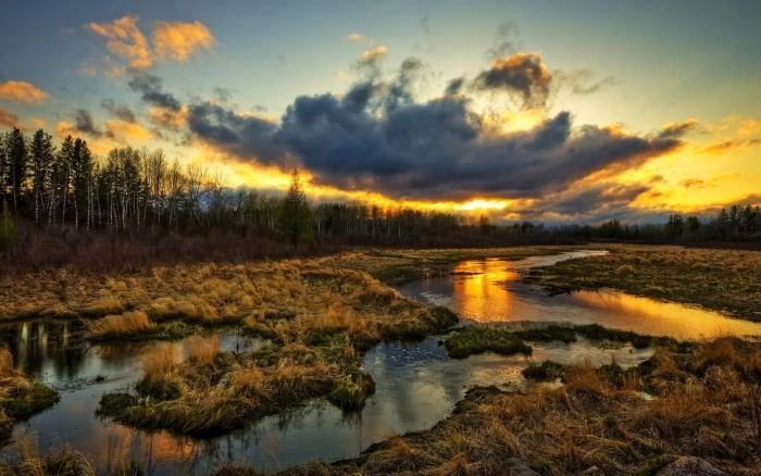 Wetlands trees clouds sunset grass water stream beautiful scenery 2k