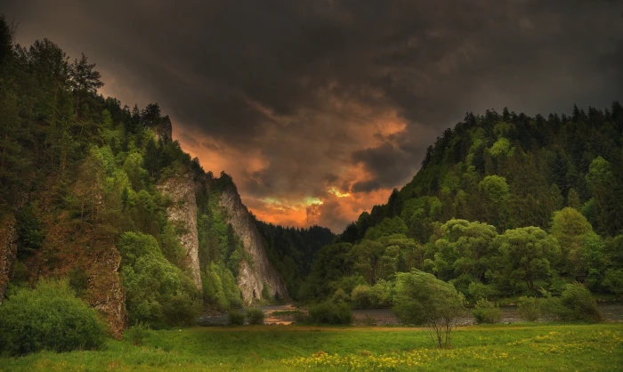 green leafed trees spring river storm clouds forest hills 2k