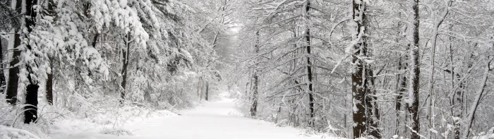 dual screen landscape nature cold temperature snow winter 2k 4k