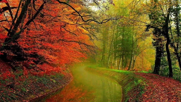 green and orange leafed trees landscape photography of water surrounded with 2k