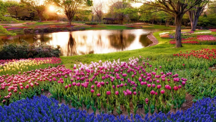hd image of nature for pc plant flower flowering 2k
