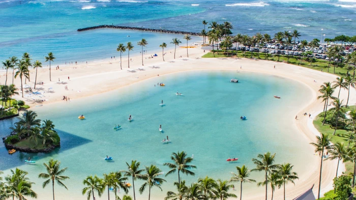 landscape photography of beach surrounded by coconut tree sea 2k
