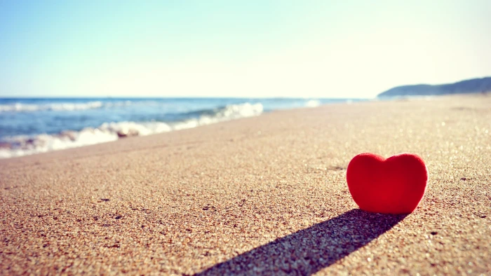 romantic baseball male happy people person caucasian 2k 4k