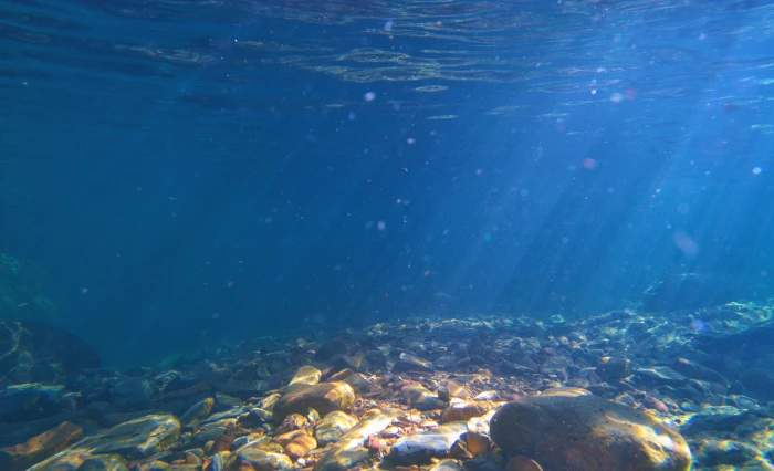 water sea sand beach rock silt floor bottom sunlight 2k 4k