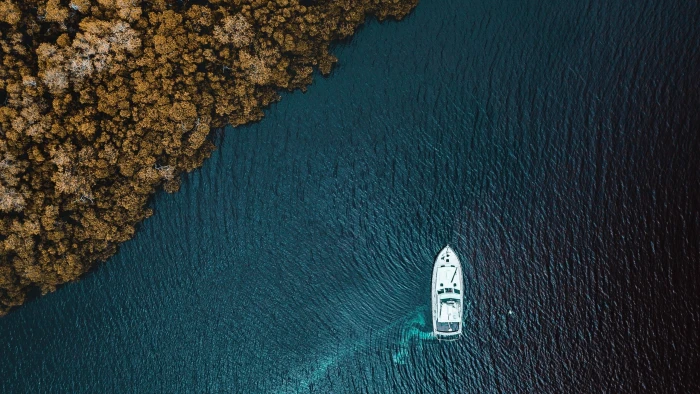 aerial sea boat vehicle water trees drone photo top view 2k