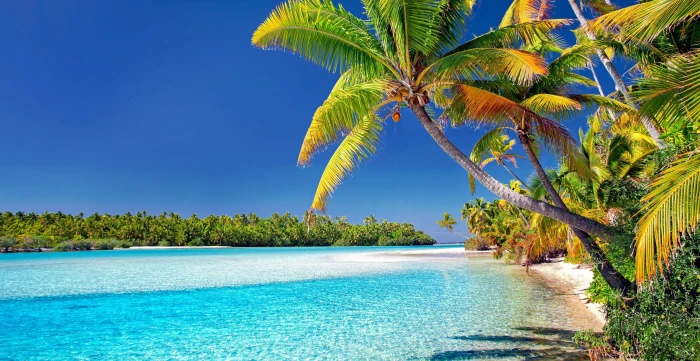 cook islands beach palm trees sand sea vacations ocean 2k