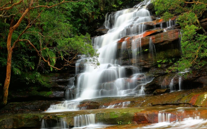 Falls Waterfall Nature Scenery Trees 2k