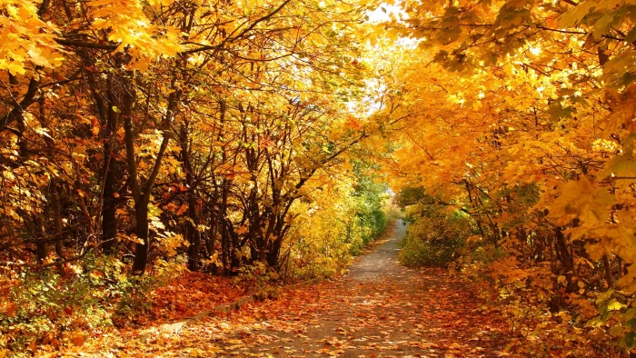 for desktop nature scenes beautiful scenery autumn 2k