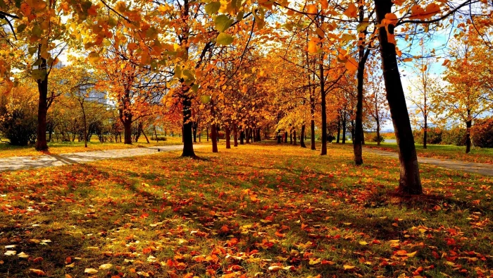 for desktop nature scenes beautiful scenery autumn 2k