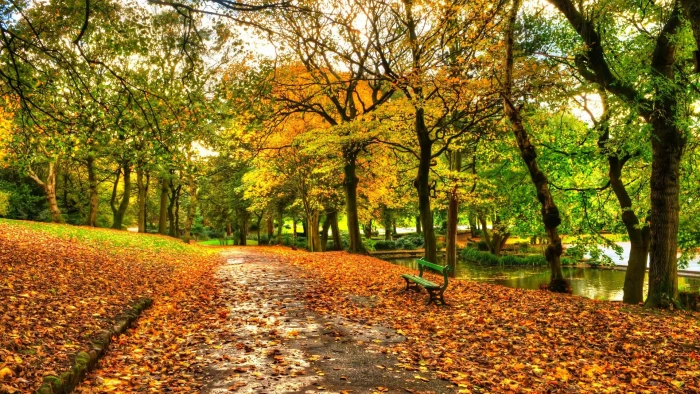 for desktop nature scenes beautiful scenery tree 2k