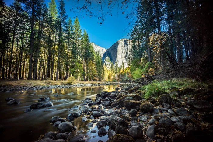 landscape photography of boulders on river between trees el capitan yosemite national park 2k
