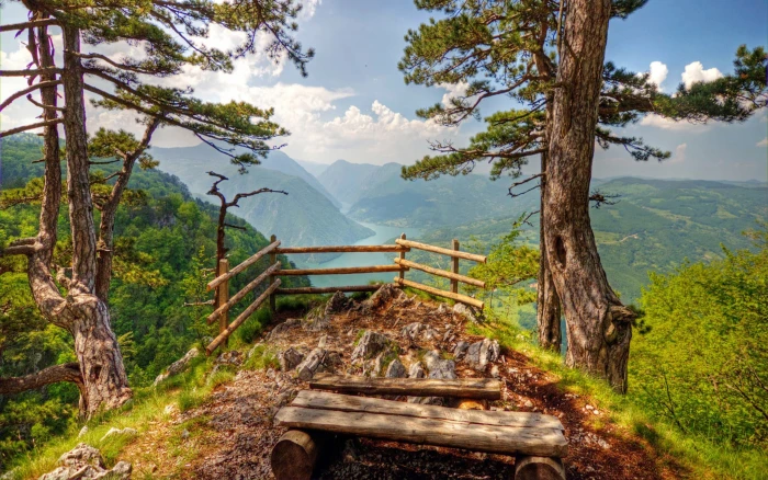 Landscapes Mountain Tara Serbia Background Hd 2k