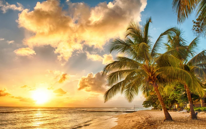 Ocean beach paradise tropical palms Sea Sunset 2k