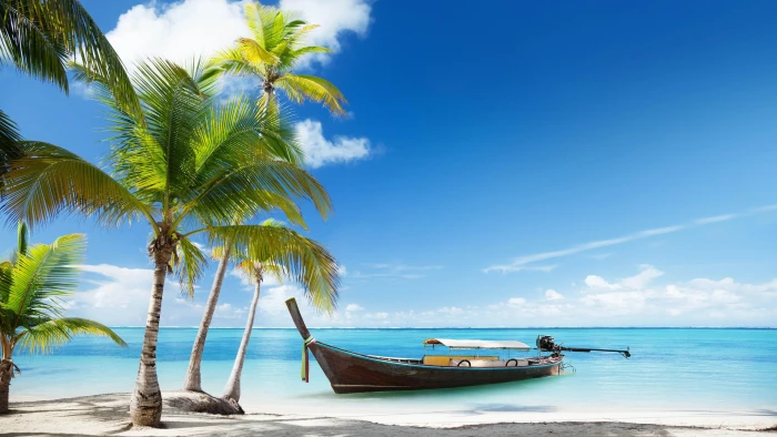 ocean summer blue sea sky palms beach tourism water 2k 4k