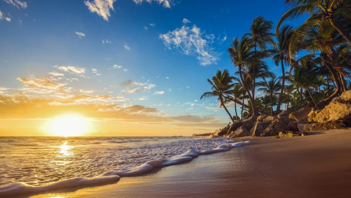 ocean summer sand wave sandy beach foam morning arecales 64 2k 4k