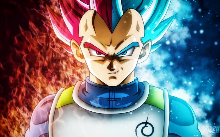 Red blue flame Vegeta Dragon Ball Super Ultra HD Saiyan God and Blue illustration 2k 4k