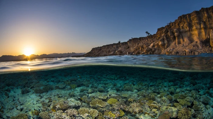 sea water coral coast shore sky reef rock ocean 2k 4k