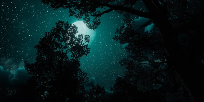 video games The Witcher 3 Wild Hunt screen shot night Moon 2k 4k