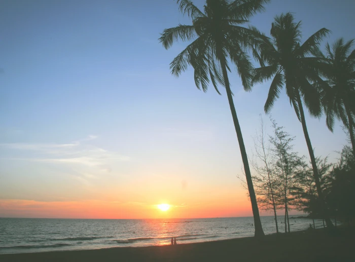 vietnam phu quoc beach sunset tropical digital nomad coconut 2k 4k 5k