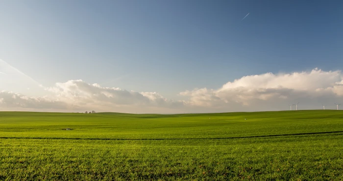 green grass field during daytie farm agriculture plants nature 2k 4k