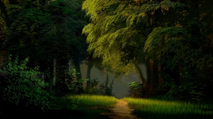 nature path forest green woodland fantasy landscape 2k 4k