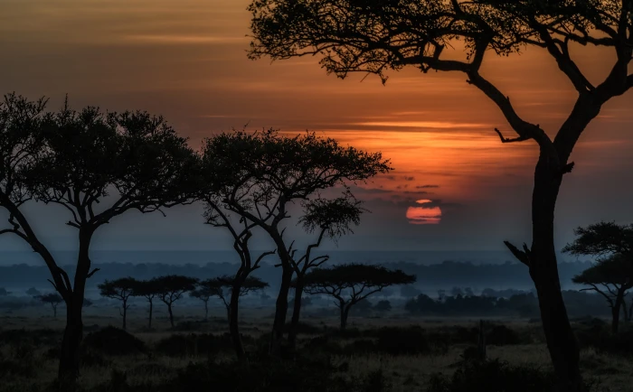 Sunrise in Masai Mara Kenya Africa green leafed trees Travel 2k 4k 5k