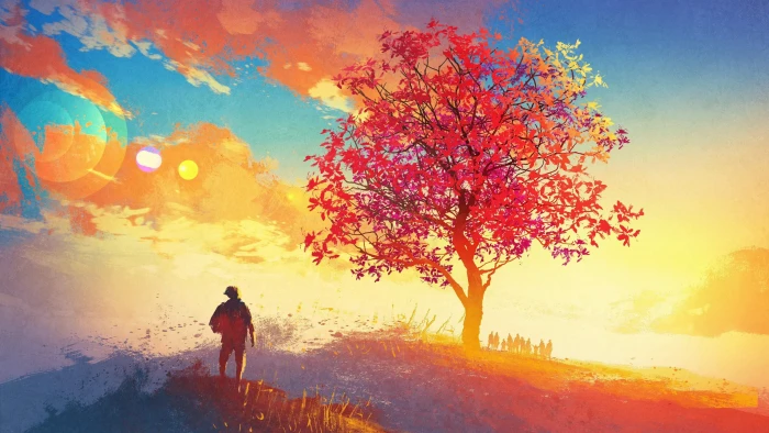 tree hill nature alone autumn mountain landscape 2k 4k