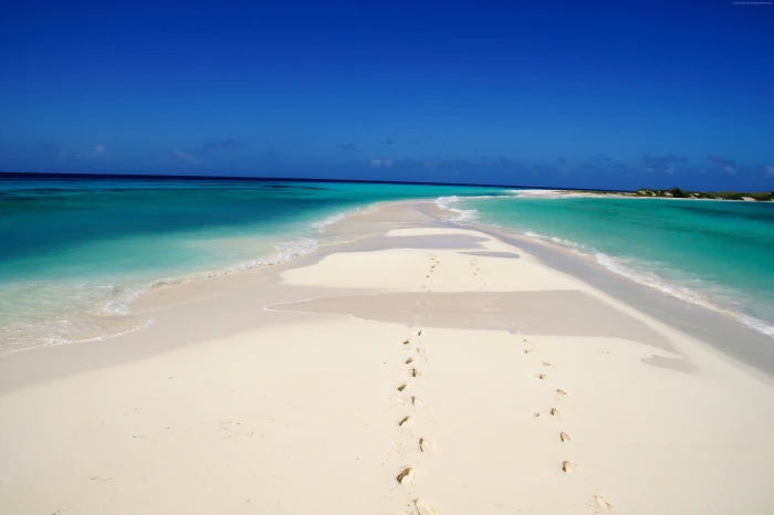 Venezuela Cayo de Agua Travellers Choice Awards Best beaches of 2k 4k 5k