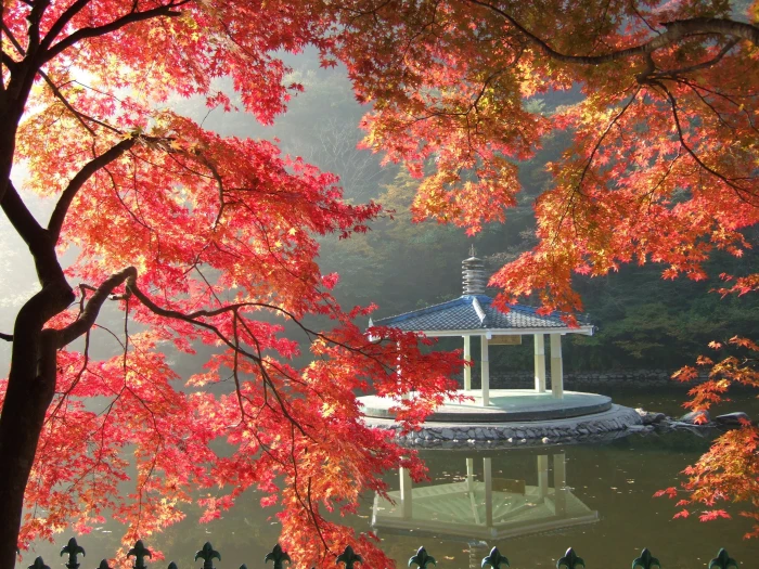 white concrete gazebu on calm water near trees nature autumn leaves 2k