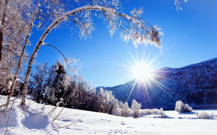 Winter snow mountains and trees white scenery dazzling sunshine mountain with 2k