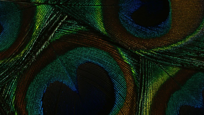 abstract green snake digital greenish blue fractal wallpaper 2k 4k