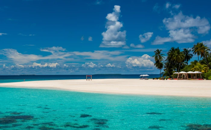 body of water near green trees maldives tropical beach sea 2k 4k 5k