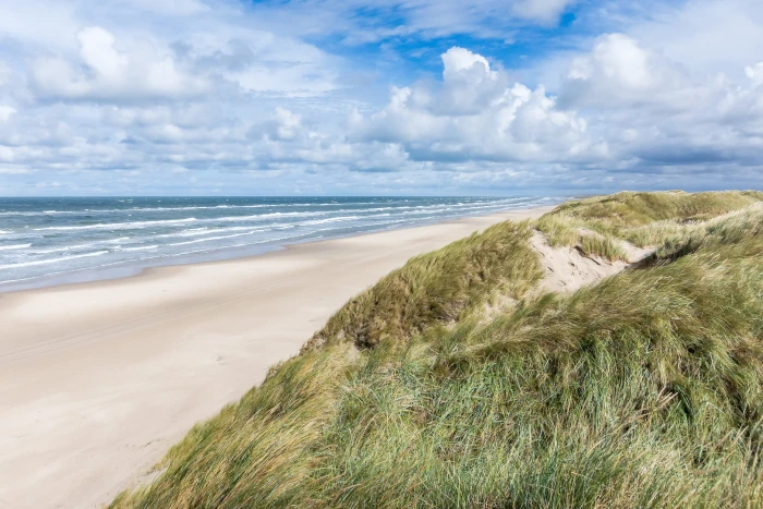 jutland denmark beach sea dunes dune landscape north 2k 4k