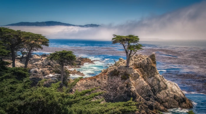 Monterey Bay United States California Beach Tree Drive Scenic 2k 4k