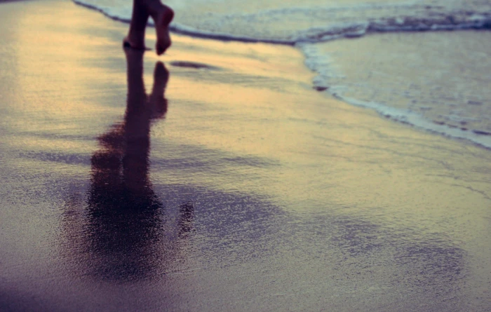 nature beach water feet low section one person human body part 2k 4k
